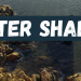 Water Shader
