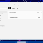 Screenshot #5 - Windows 11 Pro 23H2 22631.2506 Lite x64