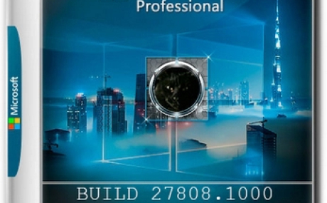 Windows 11 Pro Русская by OneSmiLe DEV build 27808.1000