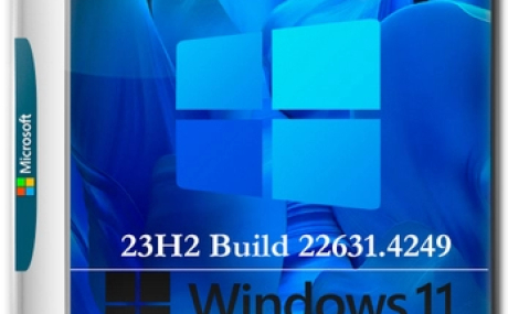 Windows 11 Pro 23H2 Build 22631.4249 Release Preview