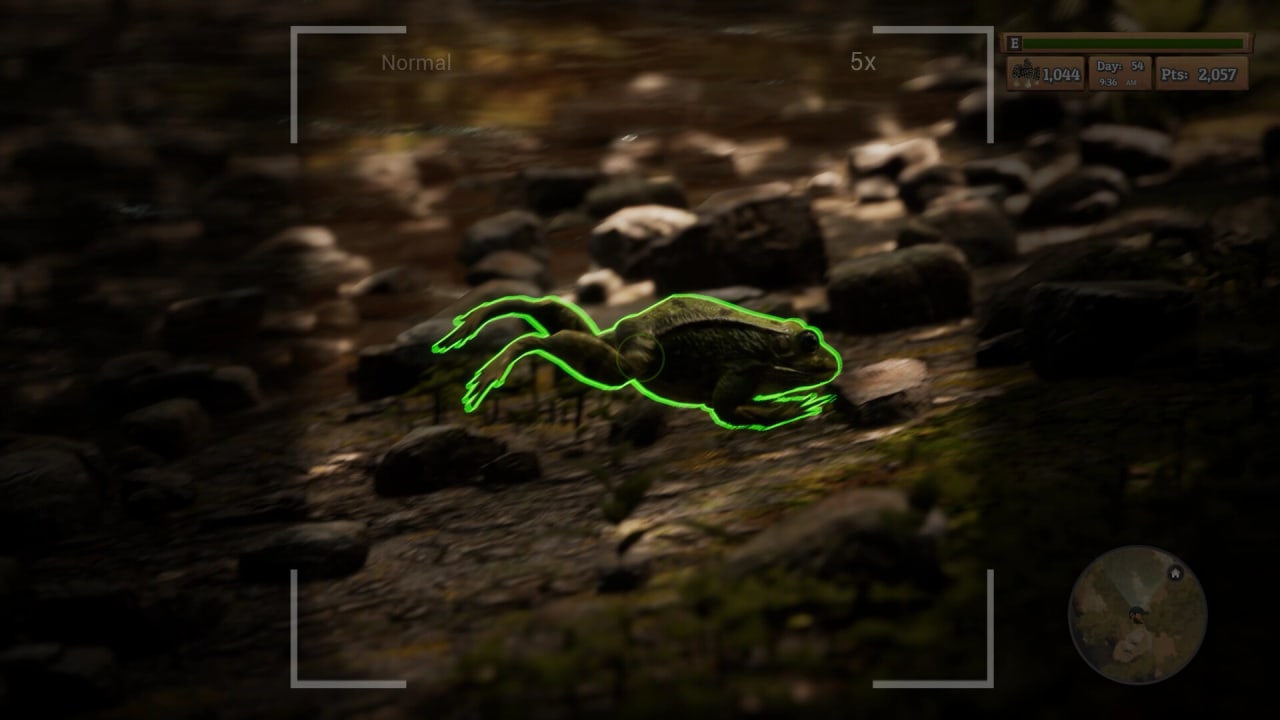 Screenshot #6 - Morels: The Hunt