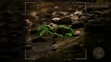 Screenshot #6 - Morels: The Hunt