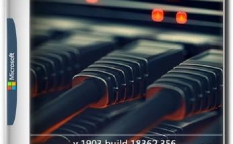 Windows 10 Enterprise x64 lite 1903 build 18362.356 by Zosma