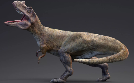Ceratosaurus - 82 Animations - Real Dinosaur Series