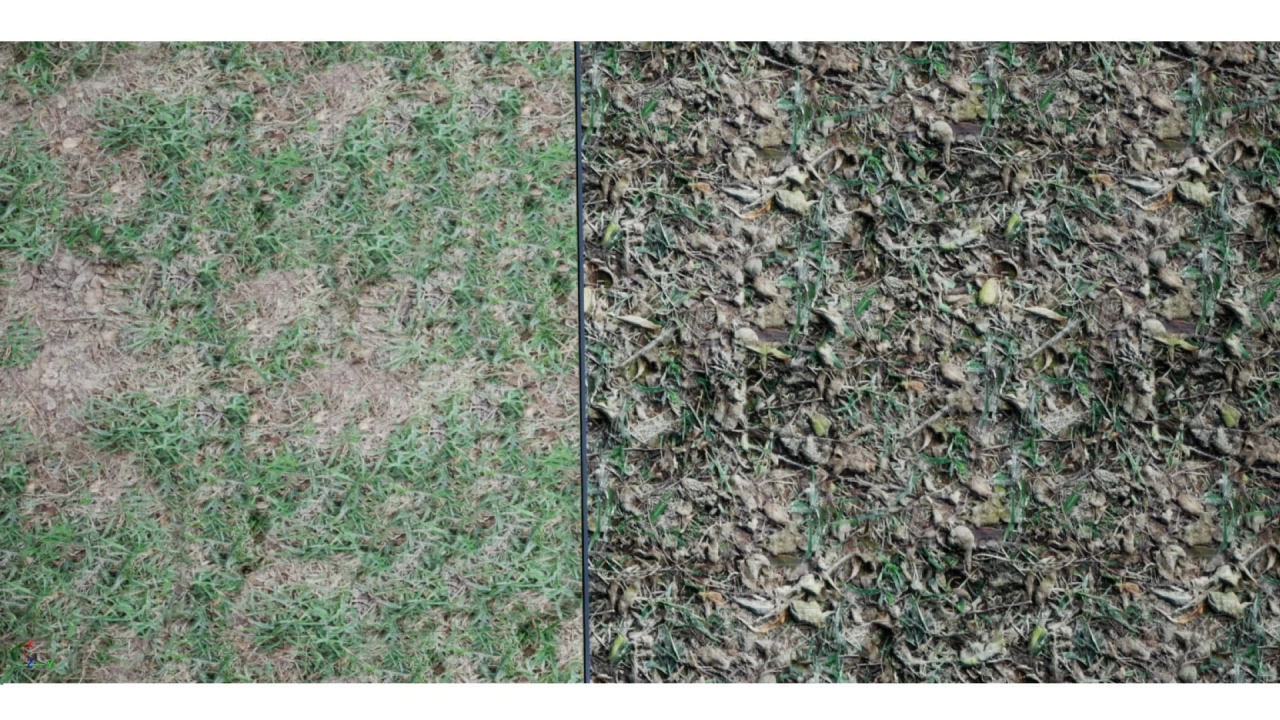 Screenshot #7 - Realistic Grass SV 02 Master Grass для UE5