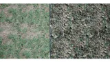 Screenshot #7 - Realistic Grass SV 02 Master Grass для UE5
