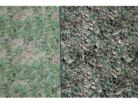 Screenshot #7 - Realistic Grass SV 02 Master Grass для UE5