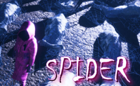 Spider Maze
