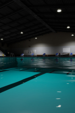 Screenshot #1 - Sharks and Minnows