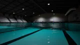 Screenshot #1 - Sharks and Minnows