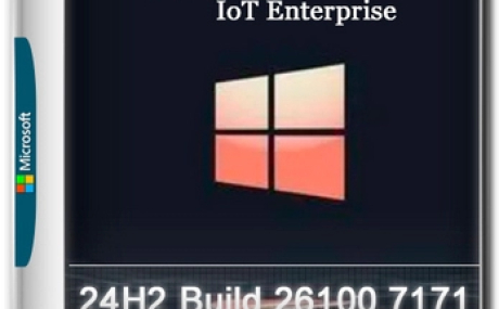 Windows 11 Lite IoT Enterprise 24H2 Build 26200.7171
