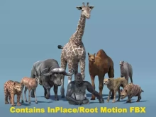 African Animal Pack 2