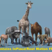 African Animal Pack 2