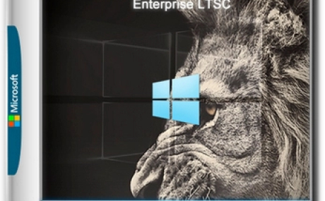 Windows 10 Enterprise LTSC x64 + WPI by AG 08.2024 [17763.6189]