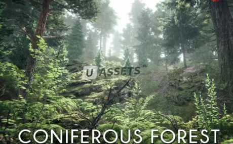 Coniferous Forest