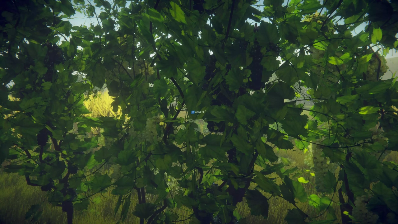 Screenshot #3 - Trees Variety