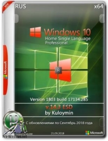 Windows 10 HSL/Pro 1803 x64 by kuloymin v14.3 (ESD)
