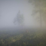 Screenshot #3 - Better Fog: Height Fog, Light Scattering & More