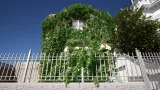 Screenshot #1 - Crazy Ivy Realistic Ivy Generator Vine Plugin - Grow Procedural Plants in Editor