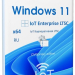 Windows 11 IoT Enterprise LTSC 2024 24H2 Русская by OVGorskiy 02.2025