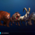 Stylized Wild Animals Pack