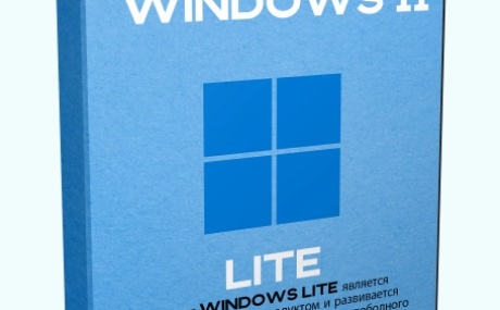 Windows 11 Lite 22H2 22621.1265 by Den