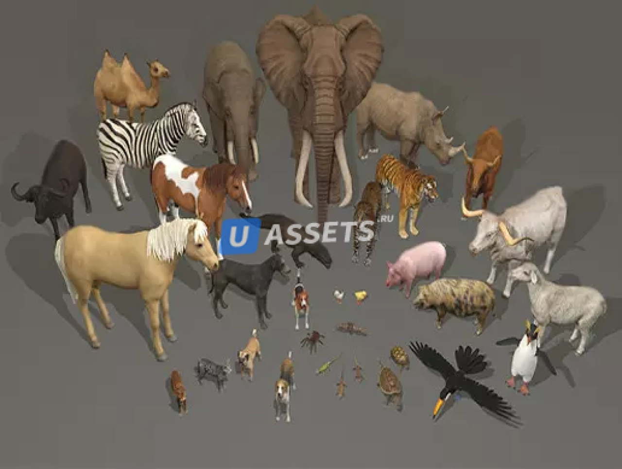 Screenshot #1 - Animal pack deluxe v2 1.0