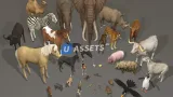 Screenshot #1 - Animal pack deluxe v2 1.0