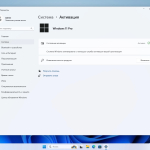 Screenshot #5 - Windows 11 Pro 23H2 Build 22631.4037 Full August 2024