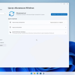 Screenshot #5 - Windows 11 22H2 build 22621.963 del Apps by WebUser