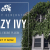 Crazy Ivy Realistic Ivy Generator Vine Plugin - Grow Procedural Plants in Editor