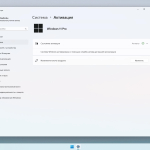 Screenshot #5 - Windows 11 Русская Pro by OneSmiLe 23H2 build 22635.4440