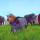 Poly Art Boars