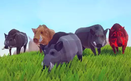 Poly Art Boars