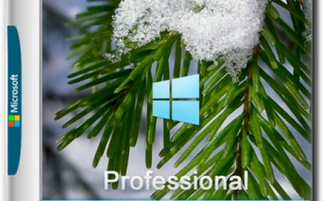 Windows 10 Optima Pro 22H2 19045.5247 x64