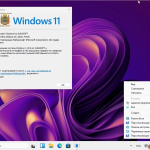 Screenshot #5 - Сборка Windows 11 26100.1742_22261_22361.4169.Mod by SURASOFT
