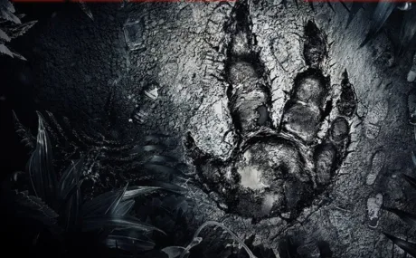 Evolve: +10 трейнер