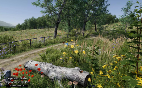 Meadow Environment - Dynamic Nature