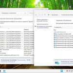 Screenshot #5 - Windows 11 Русская 26100.2033_22261_22361.4602.Mod by SURASOFT