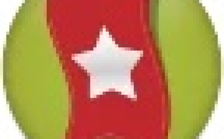 CHROMEMARKS 2013.04.08