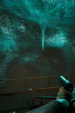 Screenshot #12 - Kvark