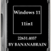 Windows 11 Русская (11in1) 23H2 10.0.22631.4037 by BananaBrain