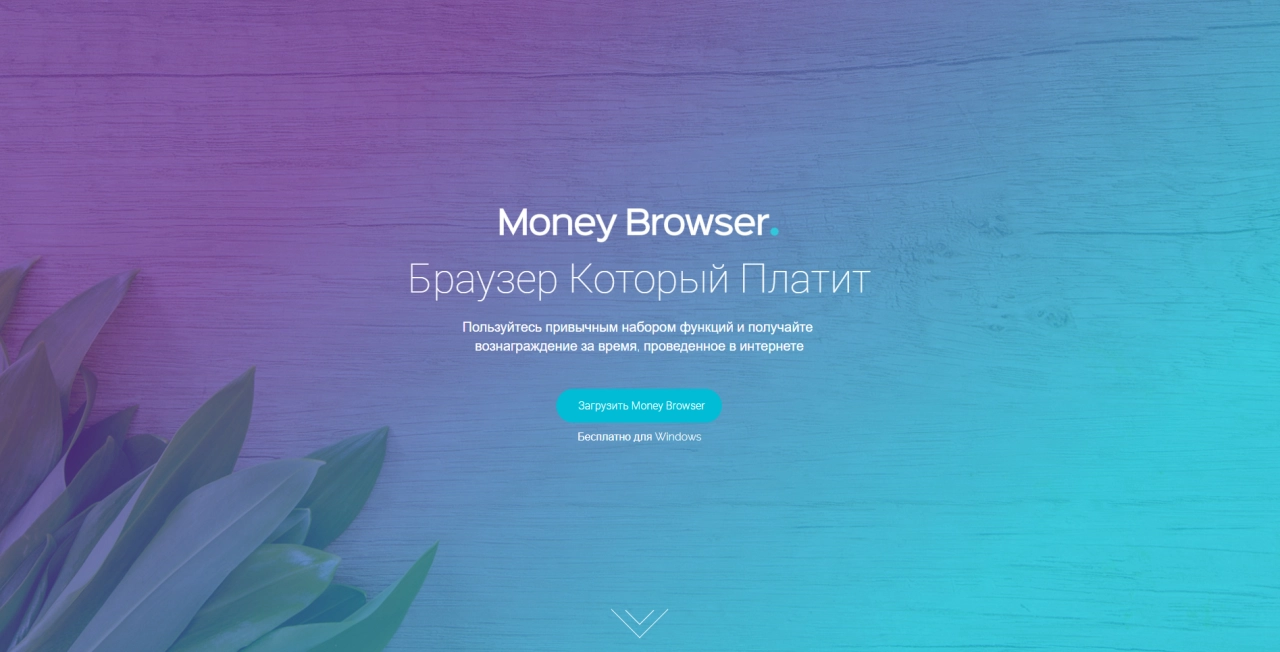 Screenshot #3 - Money Browser