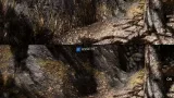 Screenshot #2 - InTerra ~ Shaders for Terrain & its Objects