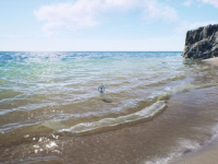 Screenshot #4 - Fluid Flux UE5.3+  v3.0.4