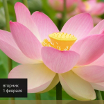 Screenshot #8 - Windows 8.1 для слабых ПК Pro (6.3.9600.17056) Lite x64 by Divet