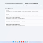 Screenshot #6 - Windows 11 Русская Pro VL x64 24Н2 (build 26100.3775) by ivandubskoj