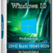 Windows 10 Pro x64 22Н2 Build 19045.6029 by ivandubskoj