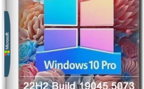 Windows 10 Pro 22H2 Build 19045.5073 (x64) +/- Office 2024 by xCOrei2