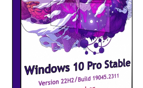 Windows 10 Pro 22H2 19045.2311 Stable by WebUser